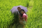 In the middle of the rice fields