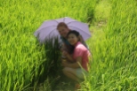 In the middle of the rice fields